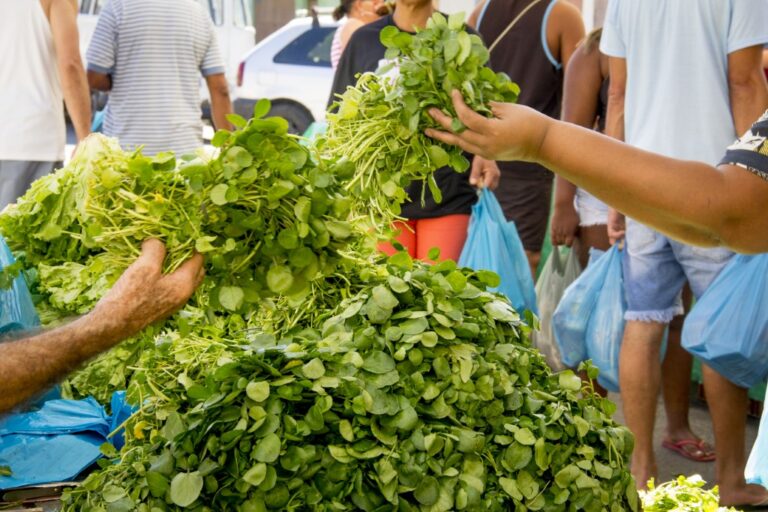 Feira de Manguinhos 24 768x512